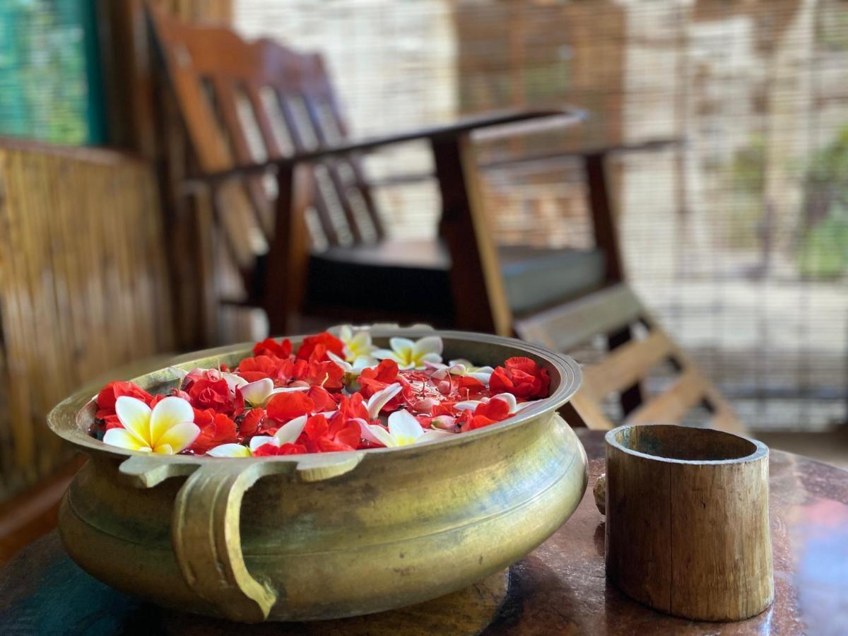 فندق Wild Orchid Kala Pathar Beach المظهر الخارجي الصورة